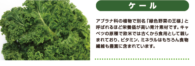 ［ケール］アブラナ科の植物で別名「緑色野菜の王様」と呼ばれるほど栄養価が高い青汁素材です。キャベツの原種で欧米では古くから食用として親しまれており、ビタミン、ミネラルはもちろん食物繊維も豊富に含まれています。